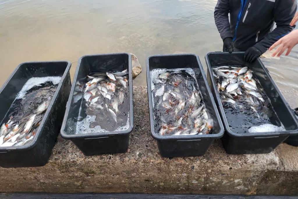 06_Besatz_Fisch_11.2023